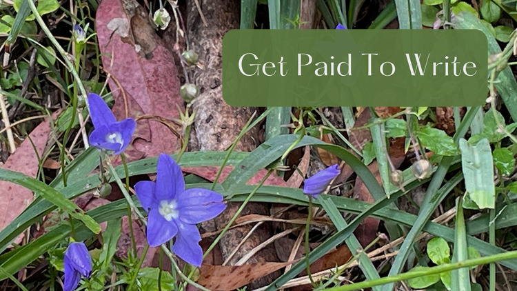 Little purple flowers in a bed of green grass stems and brown leaves and bark.  Text reads, Get paid to write