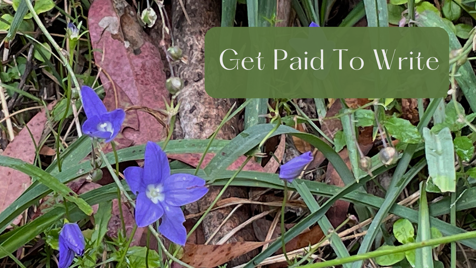 Little purple flowers in a bed of green grass stems and brown leaves and bark.  Text reads, Get paid to write